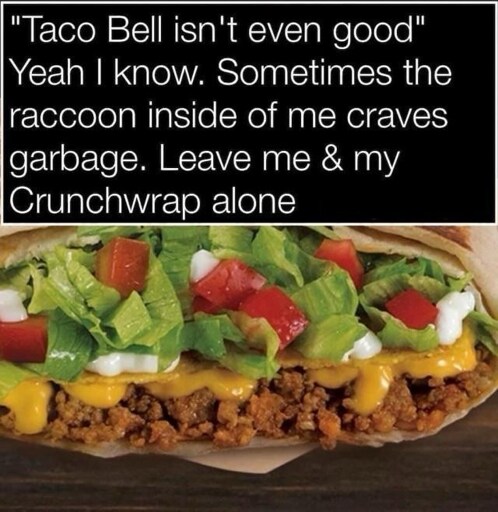 ‘Taco Bell isn't even good’  
[Picture of a crunch wrap showing obviously fake lettuce, tomatoes, cheese, and meat]

Yeah I know. Sometimes the raccoon inside of me craves garbage. Leave me & my Crunchwrap alone.